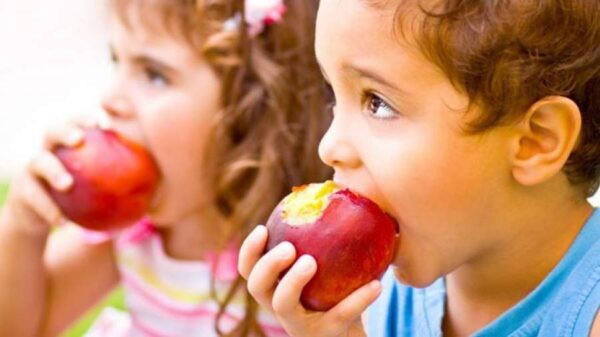 میوه های مناسب برای افزایش هوش کودک